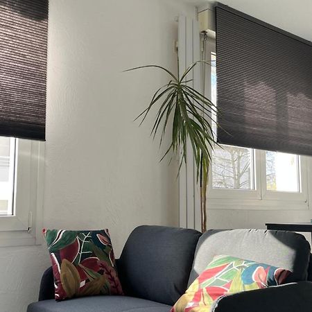 Zen-Itude Apartman Strasbourg Kültér fotó