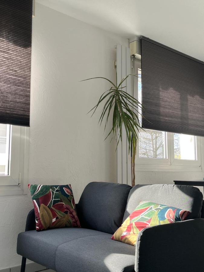 Zen-Itude Apartman Strasbourg Kültér fotó