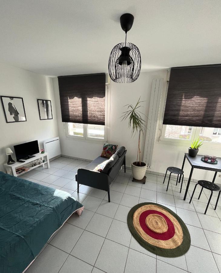 Zen-Itude Apartman Strasbourg Kültér fotó